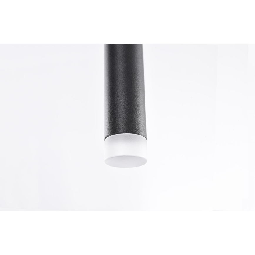 Azzardo AZ3155 - LED Ljuskrona med snöre LOUISE LED/3W/230V