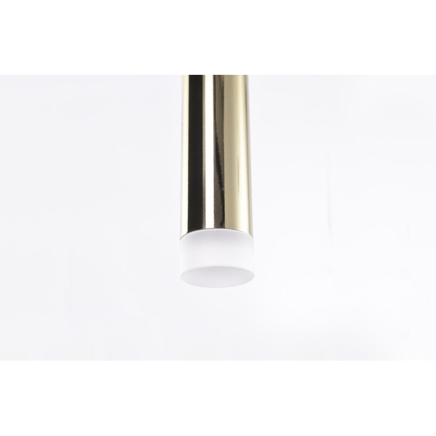 Azzardo AZ3156 - LED Ljuskrona med snöre LOUISE LED/3W/230V guld