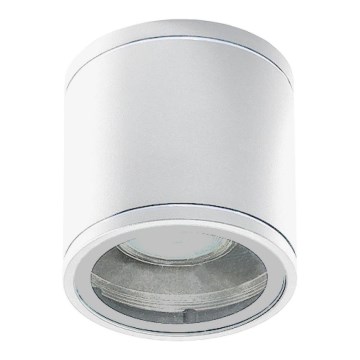 Azzardo AZ3315 - Utomhus spotlight JOE 1xGU10/35W/230V IP54