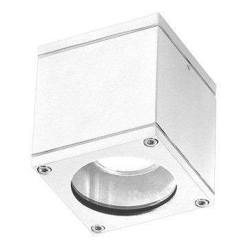 Azzardo AZ3324 - Utomhus spotlight JOE 1xGU10/35W/230V IP54