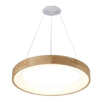 Azzardo AZ3344 - LED-lampa på kabel SILVAM LED/30W/230V