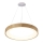 Azzardo AZ3344 - LED-lampa på kabel SILVAM LED/30W/230V