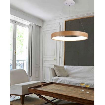 Azzardo AZ3344 - LED-lampa på kabel SILVAM LED/30W/230V