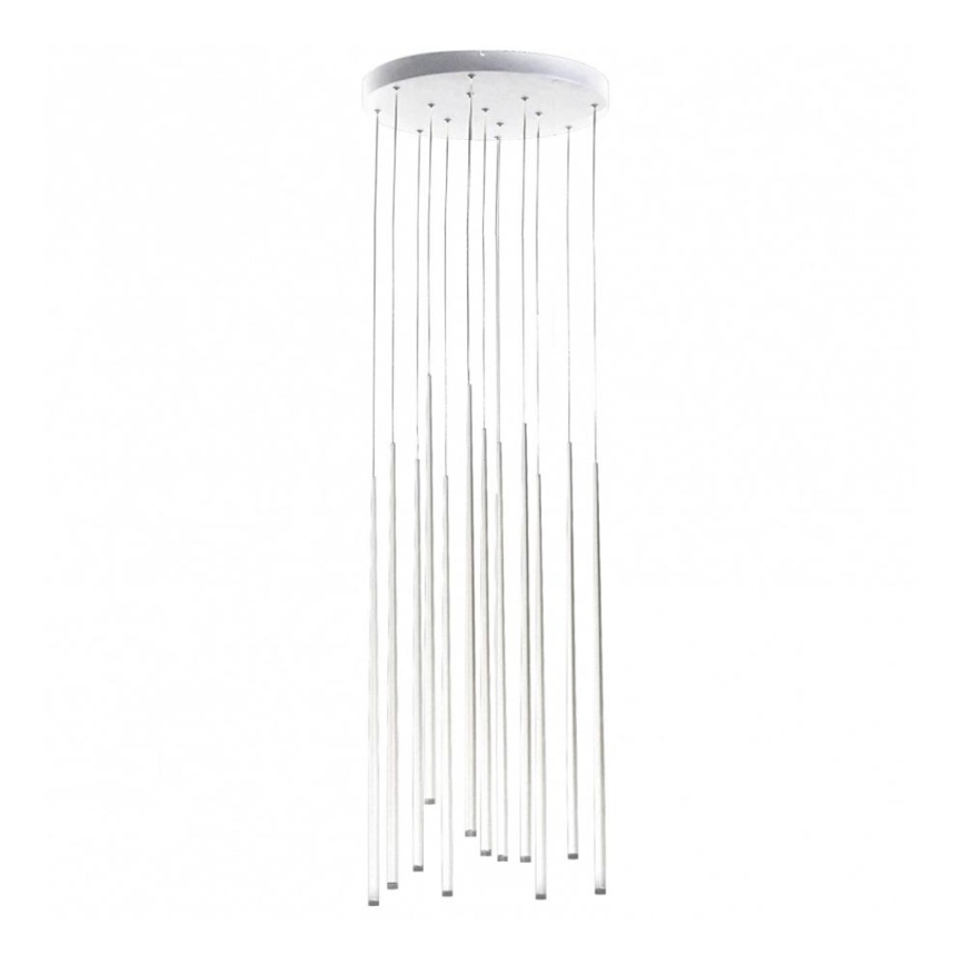 Azzardo AZ3421 - LED Ljuskrona med snöre LOUISE 12xLED/3W/230V vit