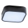 Azzardo AZ4146 - Badrum taklampa  LUCIE 2xE27/20W/230V IP44