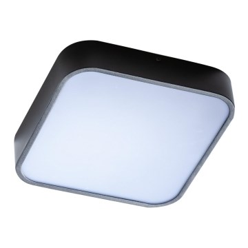 Azzardo AZ4147 - Badrum taklampa  LUCIE 3xE27/20W/230V IP44