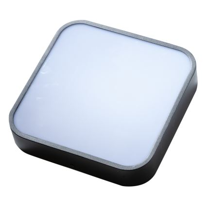 Azzardo AZ4147 - Badrum taklampa  LUCIE 3xE27/20W/230V IP44