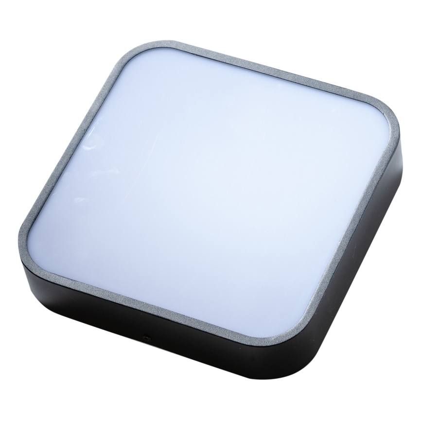 Azzardo AZ4147 - Badrum taklampa  LUCIE 3xE27/20W/230V IP44