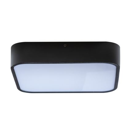Azzardo AZ4147 - Badrum taklampa  LUCIE 3xE27/20W/230V IP44