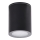 Azzardo AZ4216 - Utomhus spotlight  PAPIKO 1xGU10/50W/230V IP65 svart 