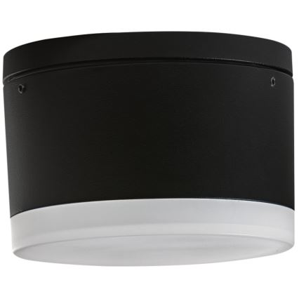 Azzardo AZ4333 - LED Utomhus taklampa  APULIA LED/10W/230V IP54