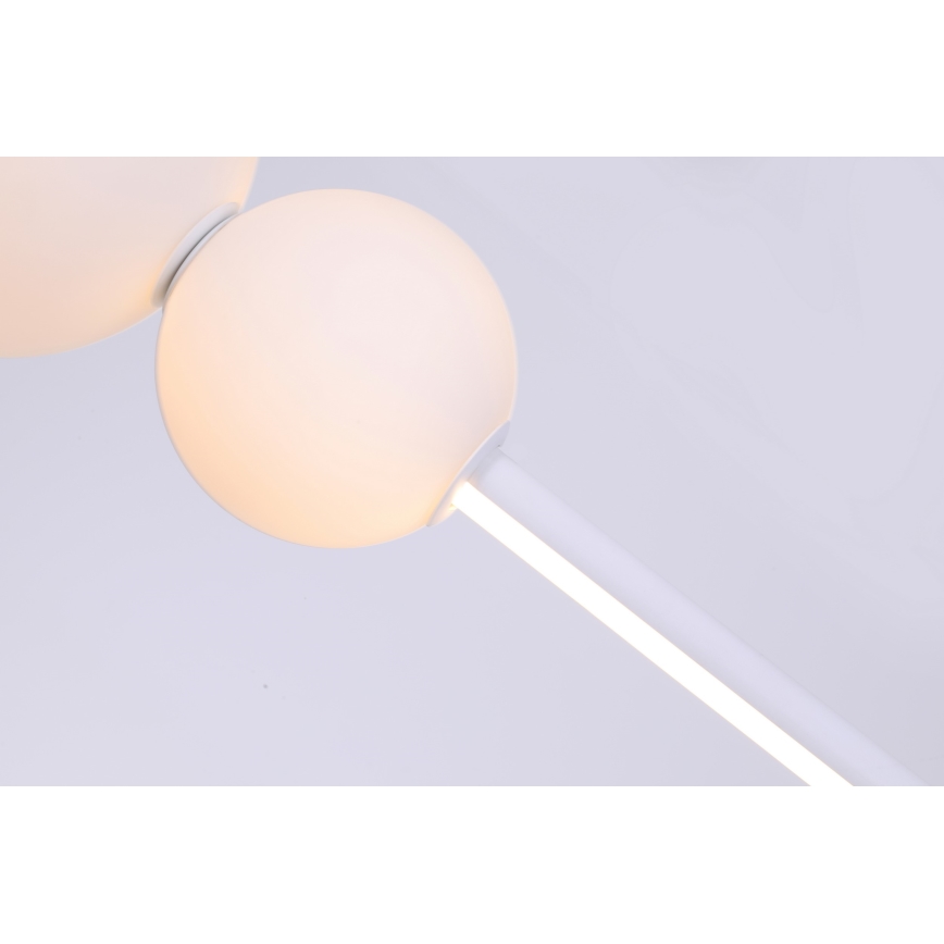 Azzardo AZ4426 - LED Dimmable takkrona  on a string SANDRA LED/48W/230V vit 