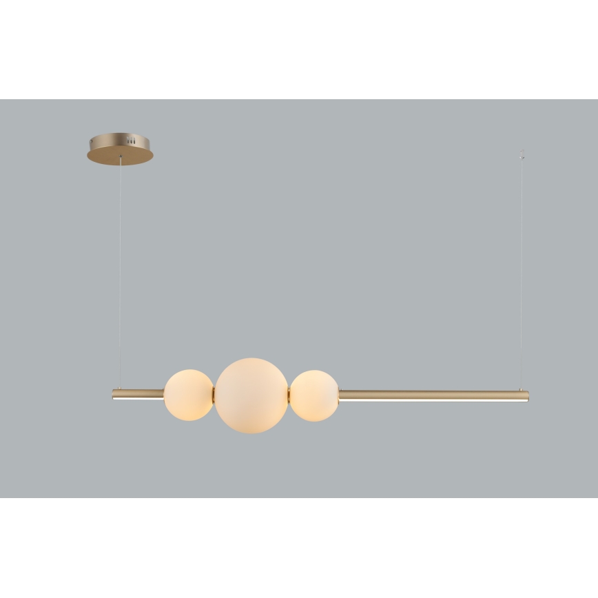Azzardo AZ4427 - LED Dimmable takkrona  on a string SANDRA LED/48W/230V gold