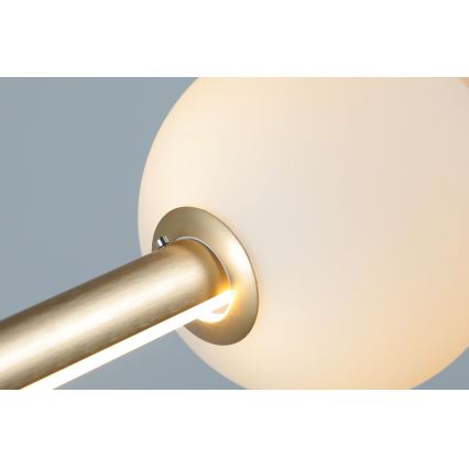 Azzardo AZ4427 - LED Dimmable takkrona  on a string SANDRA LED/48W/230V gold