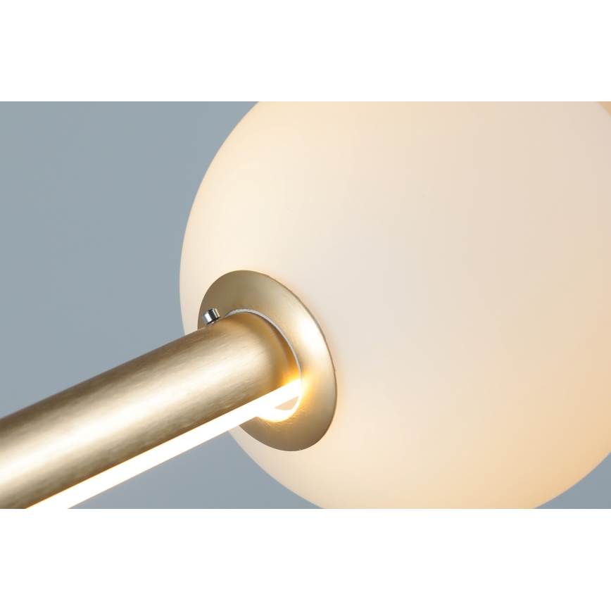 Azzardo AZ4427 - LED Dimmable takkrona  on a string SANDRA LED/48W/230V gold