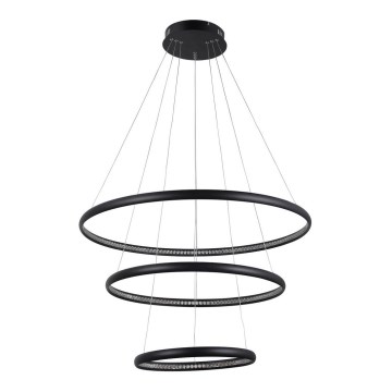 Azzardo AZ4428 - LED takkrona på ett snöre  BRIGHTON LED/55W/230V svart 
