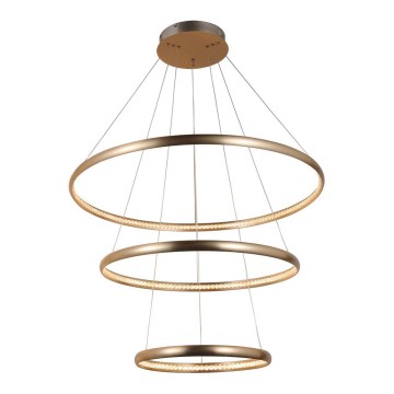 Azzardo AZ4429 - LED takkrona på ett snöre  BRIGHTON LED/55W/230V gold