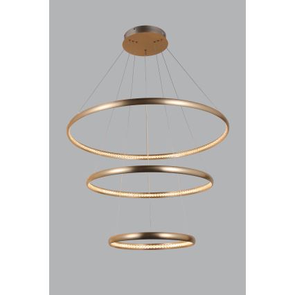 Azzardo AZ4429 - LED takkrona på ett snöre  BRIGHTON LED/55W/230V gold