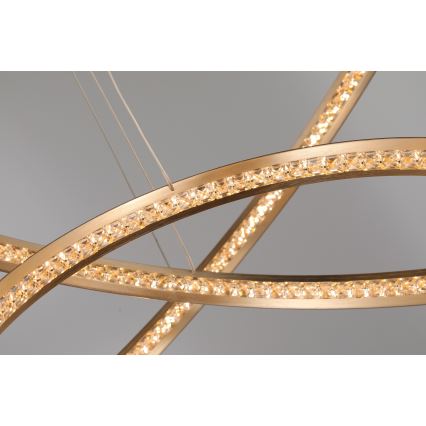 Azzardo AZ4429 - LED takkrona på ett snöre  BRIGHTON LED/55W/230V gold