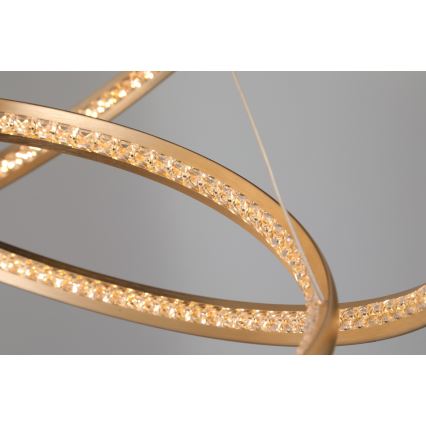 Azzardo AZ4429 - LED takkrona på ett snöre  BRIGHTON LED/55W/230V gold