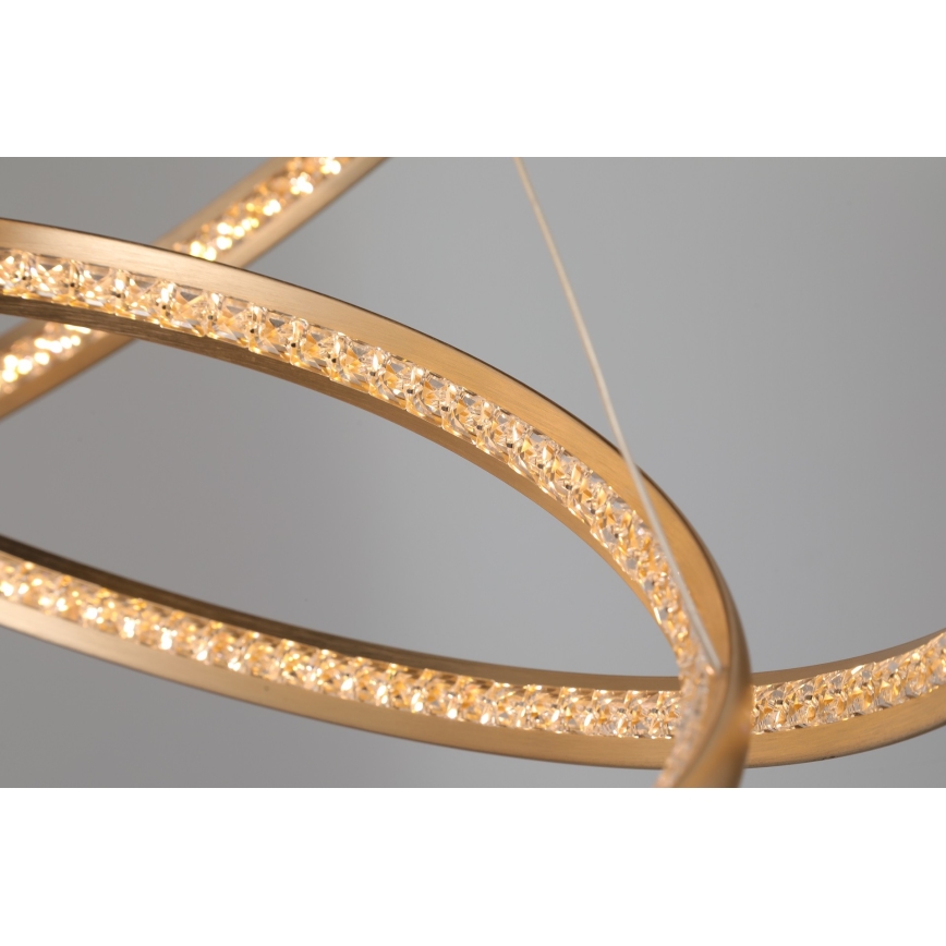 Azzardo AZ4429 - LED takkrona på ett snöre  BRIGHTON LED/55W/230V gold