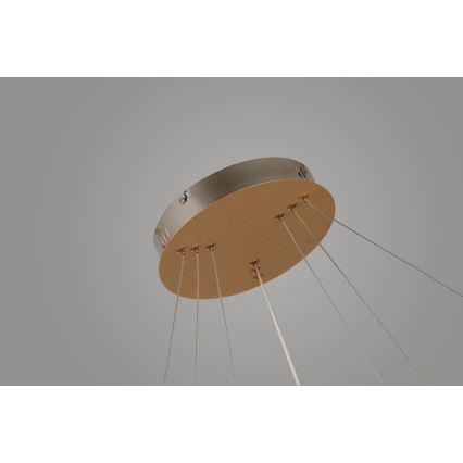 Azzardo AZ4429 - LED takkrona på ett snöre  BRIGHTON LED/55W/230V gold