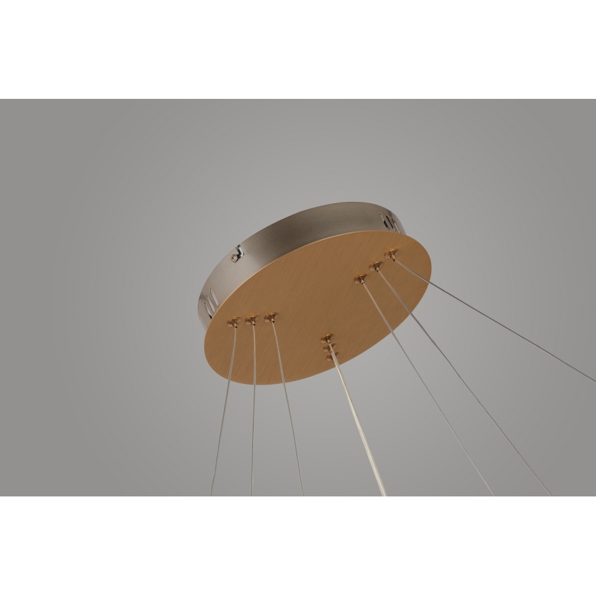 Azzardo AZ4429 - LED takkrona på ett snöre  BRIGHTON LED/55W/230V gold