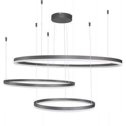 Azzardo AZ4707 - LED takkrona på ett snöre  HALO LED/130W/230V svart