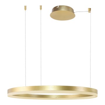 Azzardo AZ4961 -LED ljusreglerad ljuskrona på textilsladd HALO LED/56W/230V diameter 80 cm guld