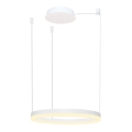 Azzardo AZ4967 - LED dimbar taklampa HALO LED/47W/230V Ø 60 cm vit