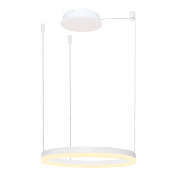 Azzardo AZ4967 - LED ljusreglerad ljuskrona på textilsladd HALO LED/47W/230V diameter 60 cm vit