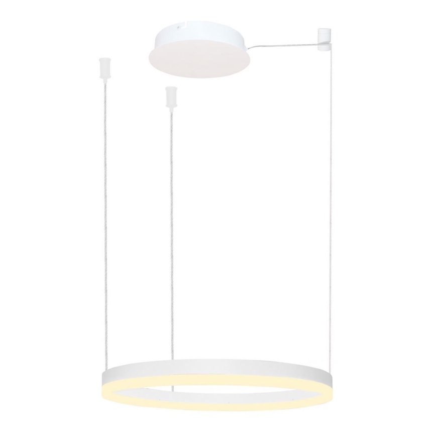 Azzardo AZ4967 - LED ljusreglerad ljuskrona på textilsladd HALO LED/47W/230V diameter 60 cm vit