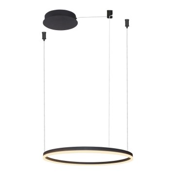Azzardo AZ4968 -LED ljusreglerad ljuskrona på textilsladd HALO LED/47W/230V diameter 60 cm svart