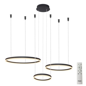 Azzardo AZ4972 - LED ljusreglerad ljuskrona på textilsladd HALO LED/120W/230V svart + fjärrkontroll