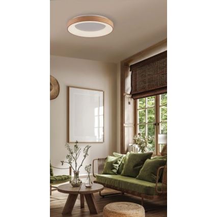 Azzardo AZ4988 - LED taklampa SANTANA LED/30W/230V guld
