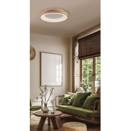 Azzardo AZ4989 - LED taklampa SANTANA LED/30W/230V brun