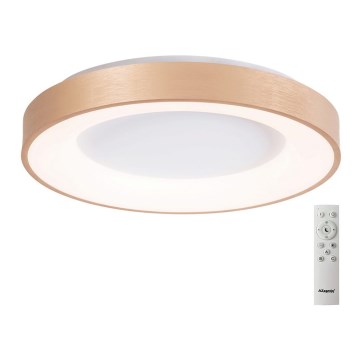 Azzardo AZ4992 - LED Dimbar taklampa SANTANA LED/50W/230V guld + fjärrkontroll