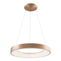 Azzardo AZ5000 - LED-lampa på kabel SANTANA LED/30W/230V guld
