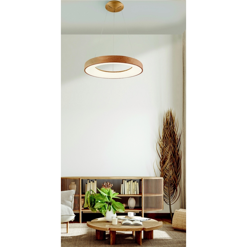 Azzardo AZ5010 - LED ljusreglerad ljuskrona på textilsladd SANTANA LED/50W/230V brun + fjärrkontroll