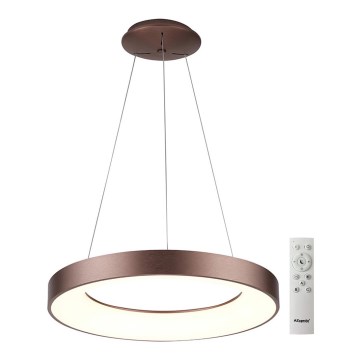 Azzardo AZ5011 - LED ljusreglerad ljuskrona på textilsladd SANTANA LED/80W/230V brun + fjärrkontroll