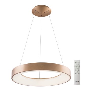 Azzardo AZ5013 - LED ljusreglerad ljuskrona på textilsladd SANTANA LED/80W/230V guld + fjärrkontroll