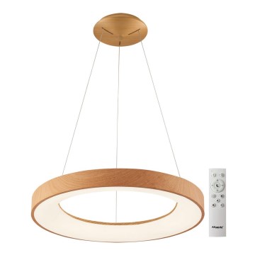 Azzardo AZ5014 - LED ljusreglerad ljuskrona på textilsladd SANTANA LED/80W/230V brun + fjärrkontroll