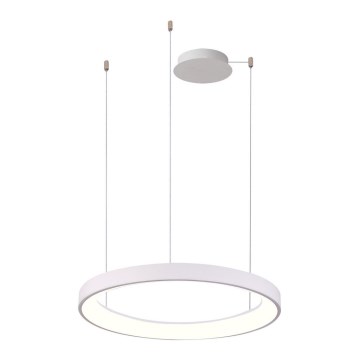 Azzardo AZ5018 - LED ljusreglerad ljuskrona på textilsladd AGNES LED/48W/230V diameter 58 cm vit