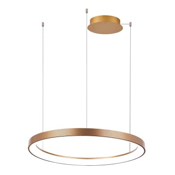 Azzardo AZ5020 - LED ljusreglerad ljuskrona på textilsladd AGNES LED/48W/230V diameter 58 cm guld