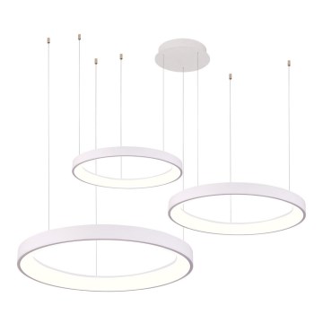 Azzardo AZ5025 - LED ljusreglerad ljuskrona på textilsladd AGNES LED/120W/230V vit