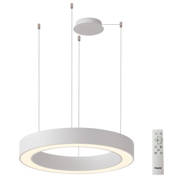 Azzardo AZ5043 - LED ljusreglerad ljuskrona på textilsladd MARCO LED/50W/230V vit + fjärrkontroll