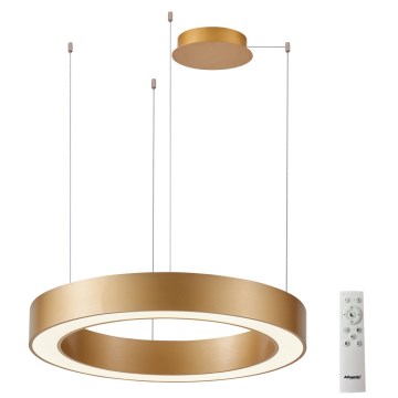 Azzardo AZ5045 - LED ljusreglerad ljuskrona på textilsladd MARCO LED/50W/230V guld + fjärrkontroll