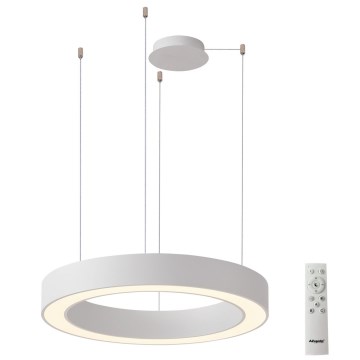 Azzardo AZ5046 - LED ljusreglerad ljuskrona på textilsladd MARCO LED/60W/230V vit + fjärrkontroll