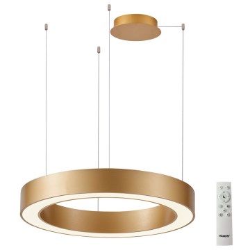 Azzardo AZ5048 - LED ljusreglerad ljuskrona på textilsladd MARCO LED/60W/230V guld + fjärrkontroll