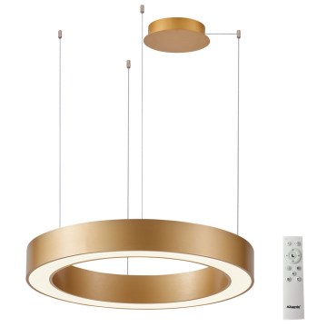 Azzardo AZ5051 - LED ljusreglerad ljuskrona på textilsladd MARCO LED/80W/230V guld + fjärrkontroll
